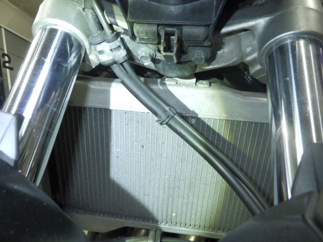 Передняя часть
